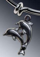 Dolphins charm